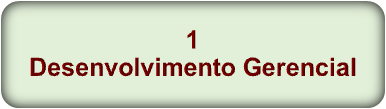 Desenvolvimento Gerencial