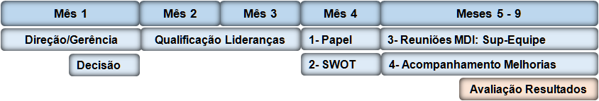 MDI - Metodologia do Desenvolvimento Individualizado