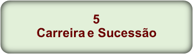 5 Carreira e Sucesso