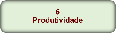 6 Produtividade